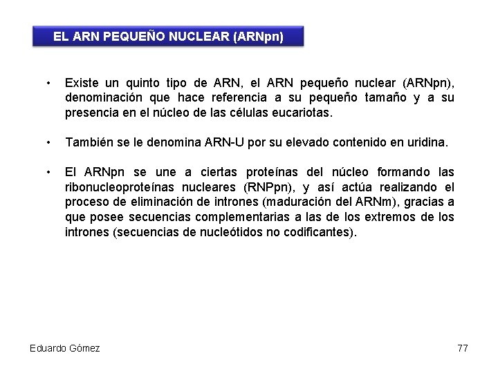 EL ARN PEQUEÑO NUCLEAR (ARNpn) • Existe un quinto tipo de ARN, el ARN