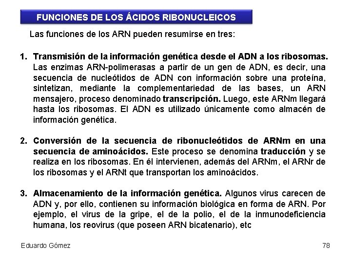 FUNCIONES DE LOS ÁCIDOS RIBONUCLEICOS Las funciones de los ARN pueden resumirse en tres: