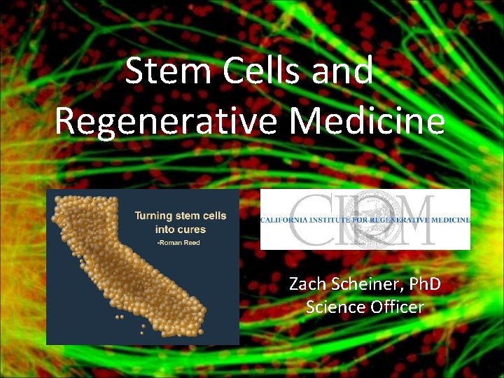 Stem Cells and Regenerative Medicine Zach Scheiner, Ph. D Science Officer 