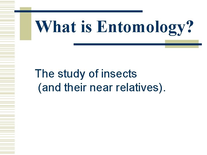 What is Entomology? The study of insects (and their near relatives). What is Entomology? The study of insects (and their near relatives).