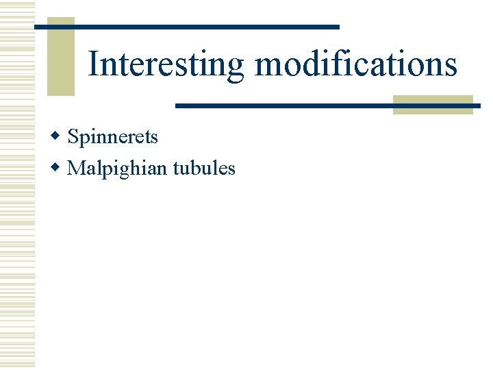 Interesting modifications w Spinnerets w Malpighian tubules Interesting modifications w Spinnerets w Malpighian tubules