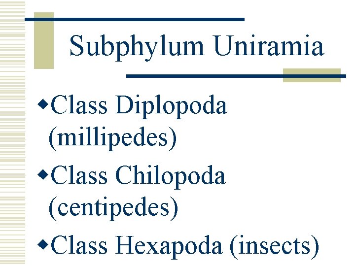 Subphylum Uniramia w. Class Diplopoda (millipedes) w. Class Chilopoda (centipedes) w. Class Hexapoda (insects) Subphylum Uniramia w. Class Diplopoda (millipedes) w. Class Chilopoda (centipedes) w. Class Hexapoda (insects)