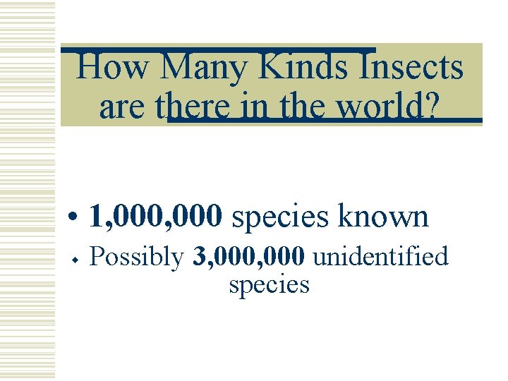 How Many Kinds Insects are there in the world? • 1, 000 species known How Many Kinds Insects are there in the world? • 1, 000 species known