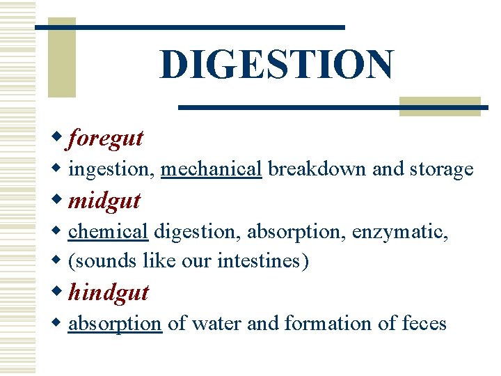 DIGESTION w foregut w ingestion, mechanical breakdown and storage w midgut w chemical digestion, DIGESTION w foregut w ingestion, mechanical breakdown and storage w midgut w chemical digestion,