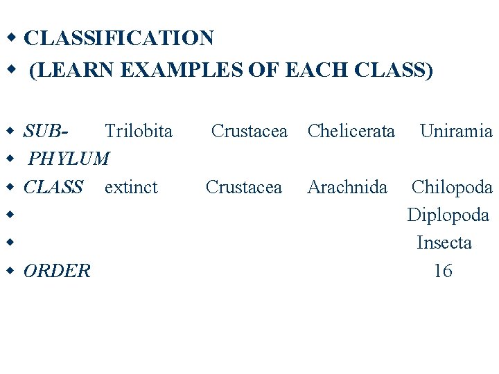 w CLASSIFICATION w (LEARN EXAMPLES OF EACH CLASS) w w w SUBTrilobita PHYLUM CLASS w CLASSIFICATION w (LEARN EXAMPLES OF EACH CLASS) w w w SUBTrilobita PHYLUM CLASS