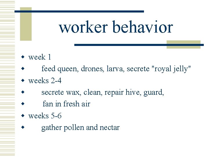 worker behavior w week 1 w feed queen, drones, larva, secrete "royal jelly" w worker behavior w week 1 w feed queen, drones, larva, secrete "royal jelly" w