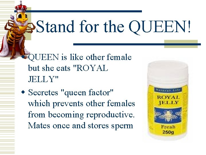 Stand for the QUEEN! w QUEEN is like other female but she eats "ROYAL Stand for the QUEEN! w QUEEN is like other female but she eats "ROYAL