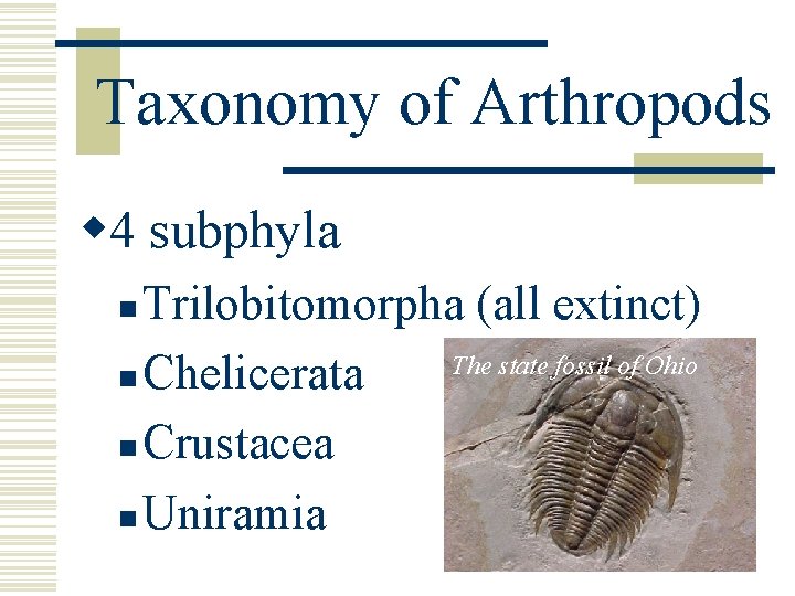 Taxonomy of Arthropods w 4 subphyla Trilobitomorpha (all extinct) The state fossil of Ohio Taxonomy of Arthropods w 4 subphyla Trilobitomorpha (all extinct) The state fossil of Ohio
