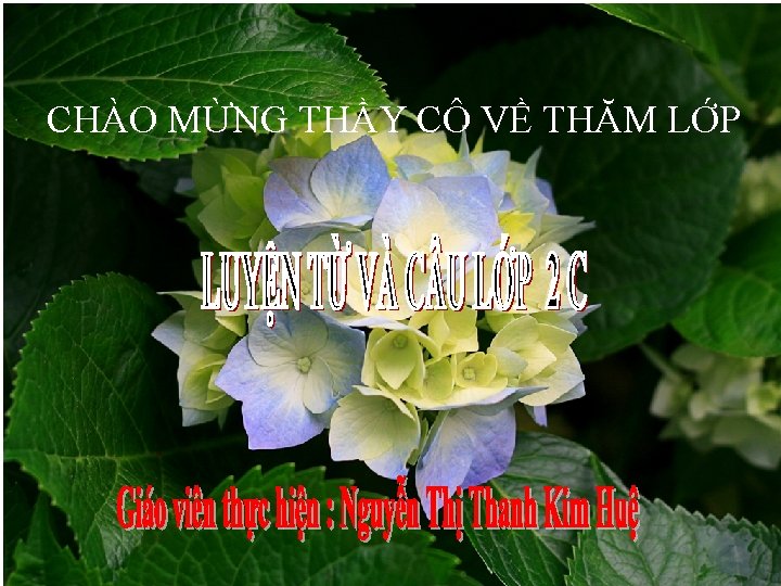 CHÀO MỪNG THẦY CÔ VỀ THĂM LỚP 