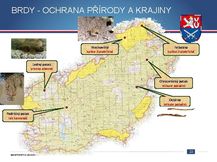 BRDY - OCHRANA PŘÍRODY A KRAJINY Hrachoviště kuňka žlutobřichá Felbabka kuňka žlutobřichá Ledný potok