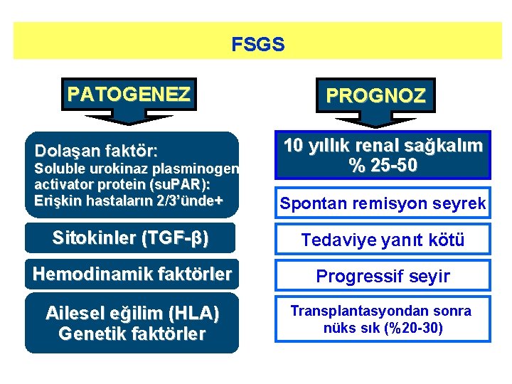 FSGS PATOGENEZ Dolaşan faktör: Soluble urokinaz plasminogen activator protein (su. PAR): Erişkin hastaların 2/3’ünde+ FSGS PATOGENEZ Dolaşan faktör: Soluble urokinaz plasminogen activator protein (su. PAR): Erişkin hastaların 2/3’ünde+