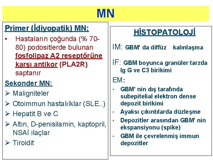 MN Primer (İdiyopatik) MN: • HİSTOPATOLOJİ Hastaların çoğunda (% 70 IM: GBM’ da diffüz MN Primer (İdiyopatik) MN: • HİSTOPATOLOJİ Hastaların çoğunda (% 70 IM: GBM’ da diffüz