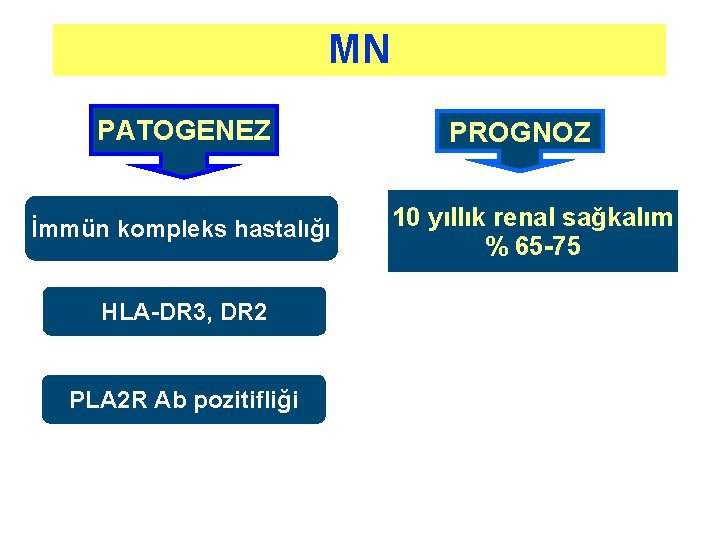 MN PATOGENEZ İmmün kompleks hastalığı HLA-DR 3, DR 2 PLA 2 R Ab pozitifliği MN PATOGENEZ İmmün kompleks hastalığı HLA-DR 3, DR 2 PLA 2 R Ab pozitifliği