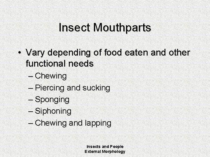 Insect Mouthparts • Vary depending of food eaten and other functional needs – Chewing