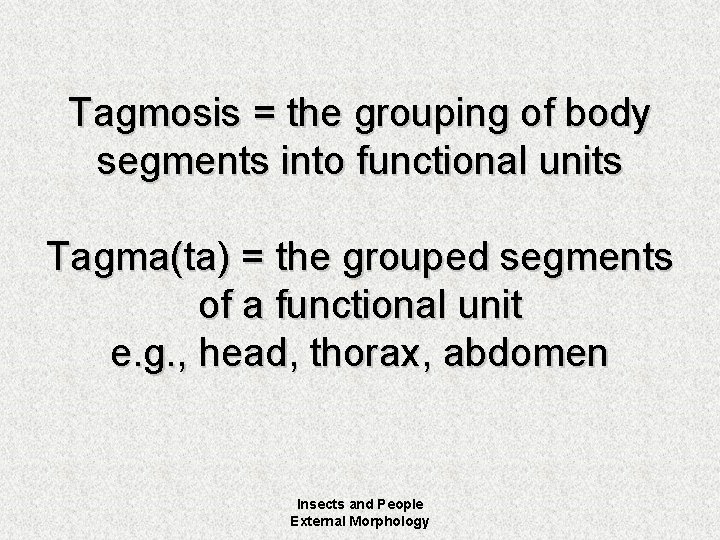 Tagmosis = the grouping of body segments into functional units Tagma(ta) = the grouped