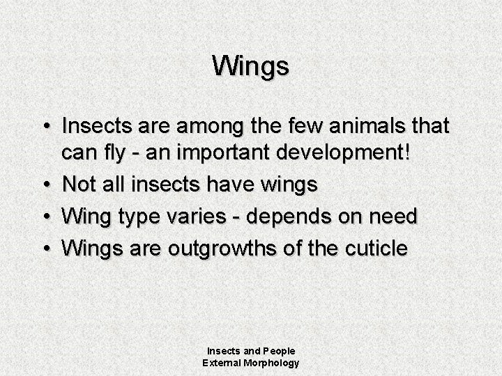 Wings • Insects are among the few animals that can fly - an important