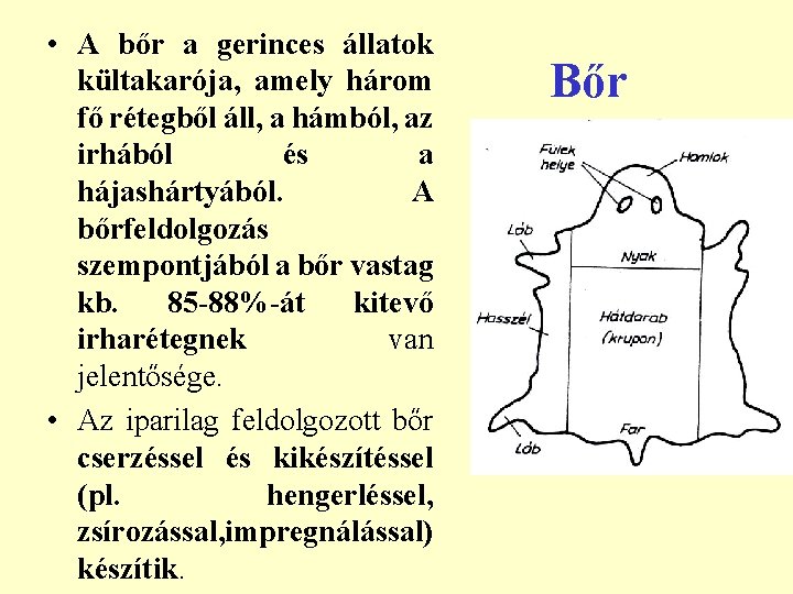  • A bőr a gerinces állatok kültakarója, amely három fő rétegből áll, a