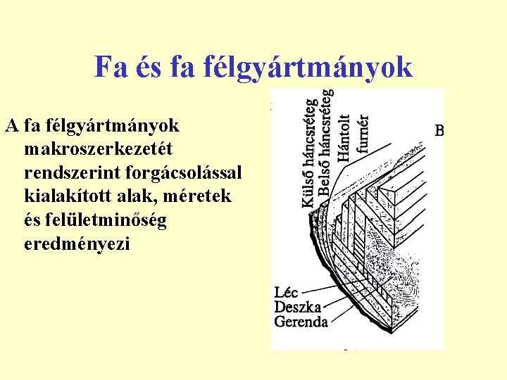 Fa és fa félgyártmányok A fa félgyártmányok makroszerkezetét rendszerint forgácsolással kialakított alak, méretek és