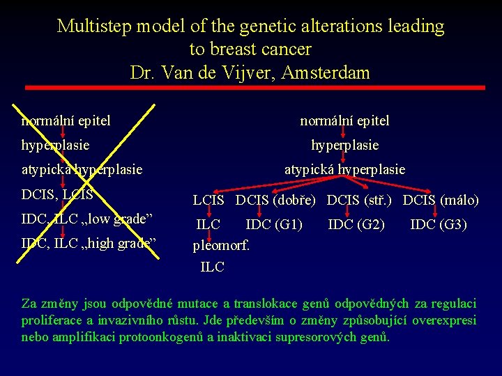 Multistep model of the genetic alterations leading to breast cancer Dr. Van de Vijver,