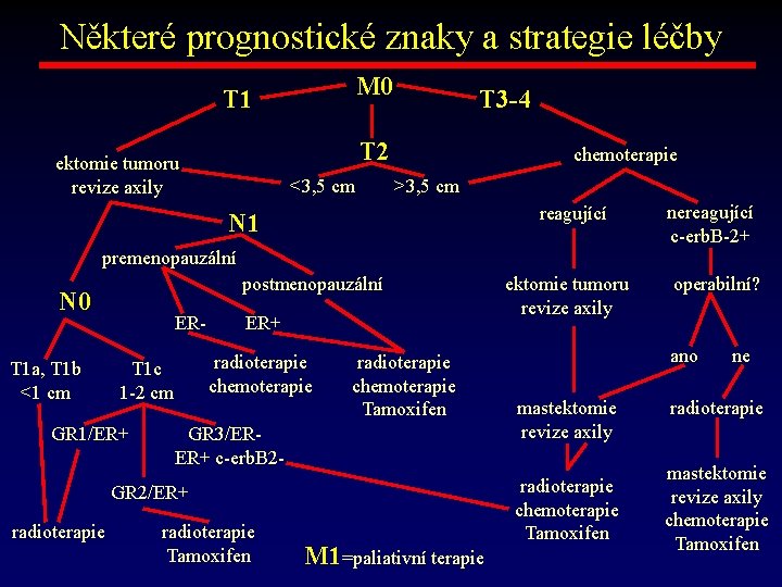 Některé prognostické znaky a strategie léčby M 0 T 1 T 3 -4 T