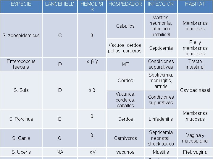ESPECIE S. zooepidemicus Enterococcus faecalis S. Suis S. Porcinus LANCEFIELD C D D E