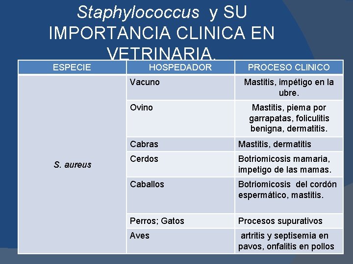 Staphylococcus y SU IMPORTANCIA CLINICA EN VETRINARIA. ESPECIE HOSPEDADOR Vacuno Ovino S. aureus PROCESO
