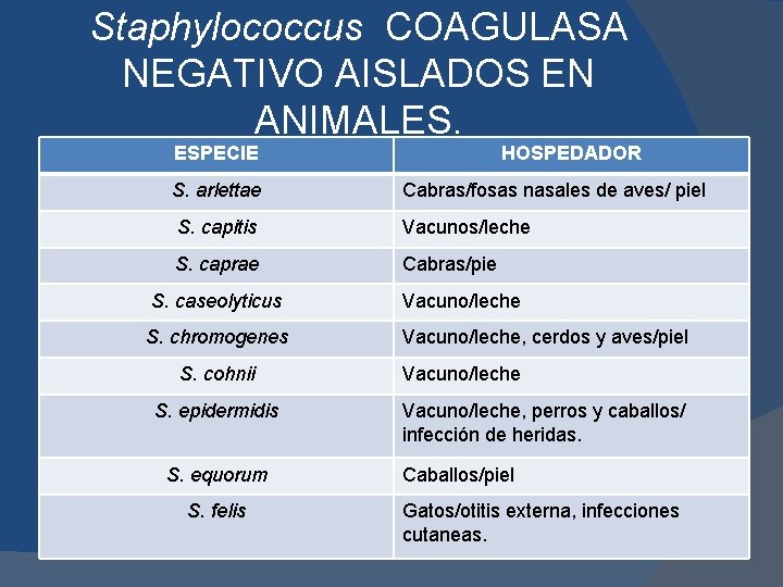 Staphylococcus COAGULASA NEGATIVO AISLADOS EN ANIMALES. ESPECIE HOSPEDADOR S. arlettae Cabras/fosas nasales de aves/