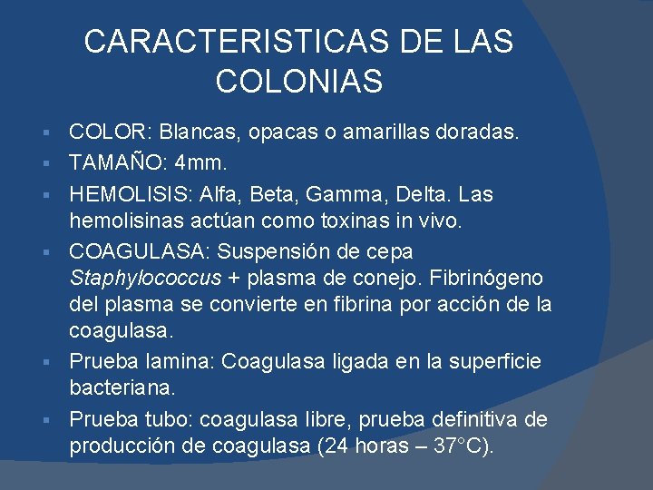 CARACTERISTICAS DE LAS COLONIAS § § § COLOR: Blancas, opacas o amarillas doradas. TAMAÑO: