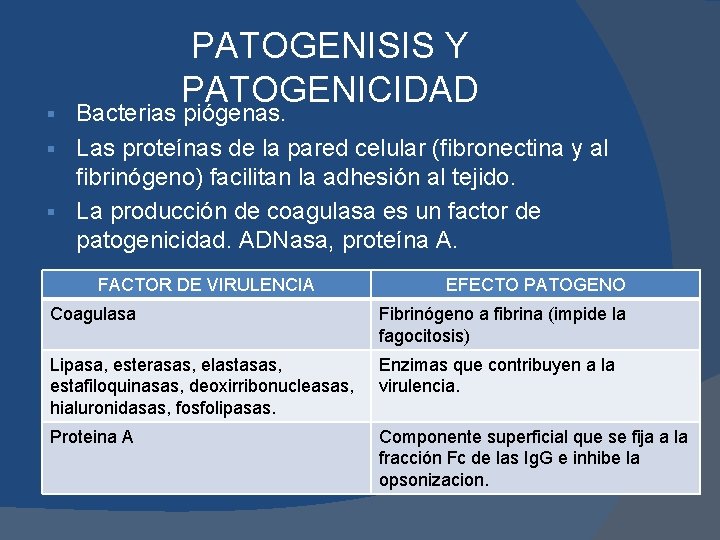PATOGENISIS Y PATOGENICIDAD Bacterias piógenas. § Las proteínas de la pared celular (fibronectina y