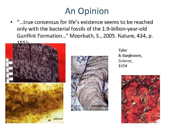 An Opinion • “…true consensus for life’s existence seems to be reached only with