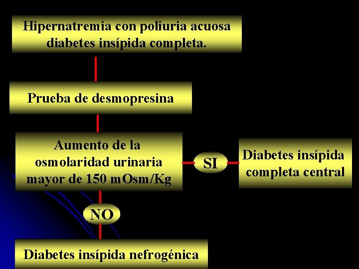 Hipernatremia con poliuria acuosa diabetes insípida completa. Prueba de desmopresina Aumento de la osmolaridad