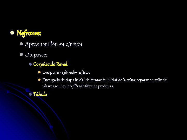 l Nefrones: l Aprox 1 millón en c/riñón l c/u posee: l Corpúsculo Renal
