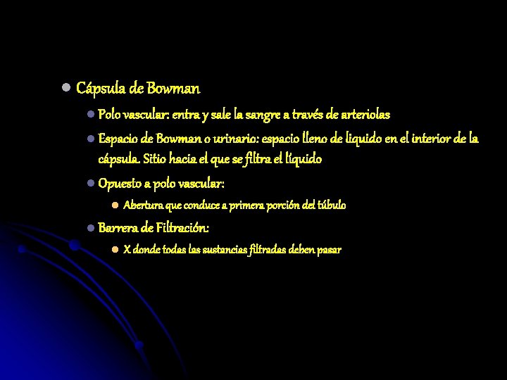 l Cápsula de Bowman l Polo vascular: entra y sale la sangre a través