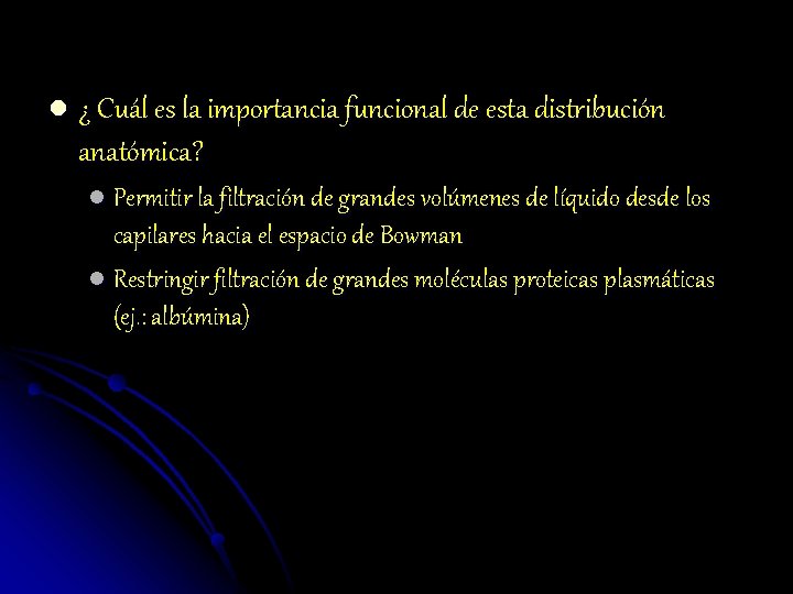 l ¿ Cuál es la importancia funcional de esta distribución anatómica? l Permitir la