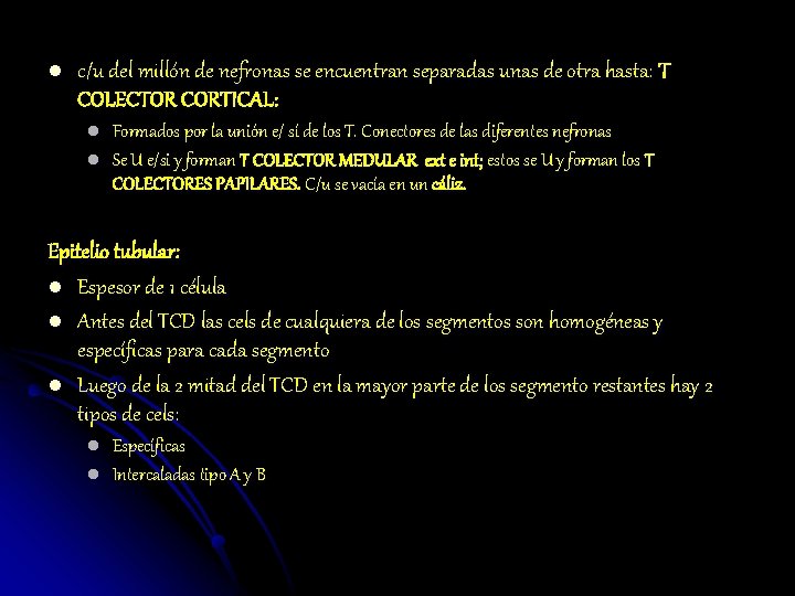 l c/u del millón de nefronas se encuentran separadas unas de otra hasta: T