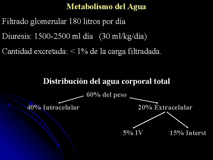 Metabolismo del Agua Filtrado glomerular 180 litros por día Diuresis: 1500 -2500 ml día