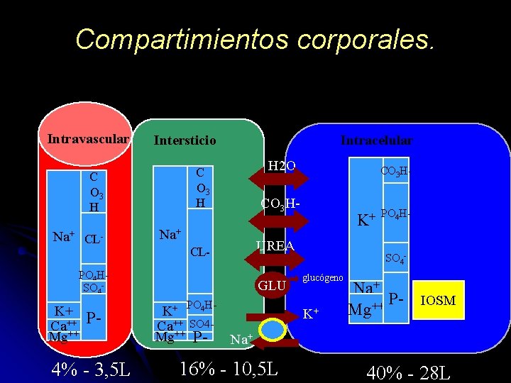 Compartimientos corporales. Intravascular Intersticio H 2 O C O 3 H Na+ CL- Intracelular
