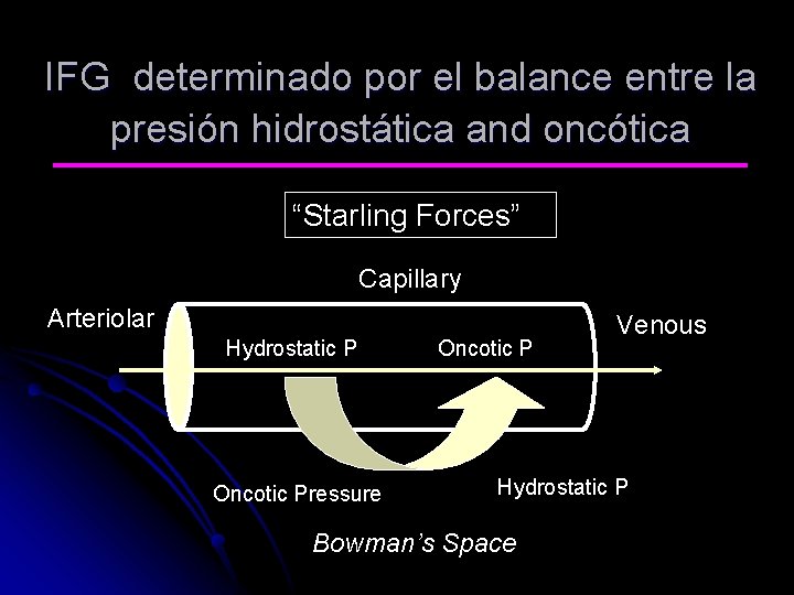 IFG determinado por el balance entre la presión hidrostática and oncótica “Starling Forces” Capillary