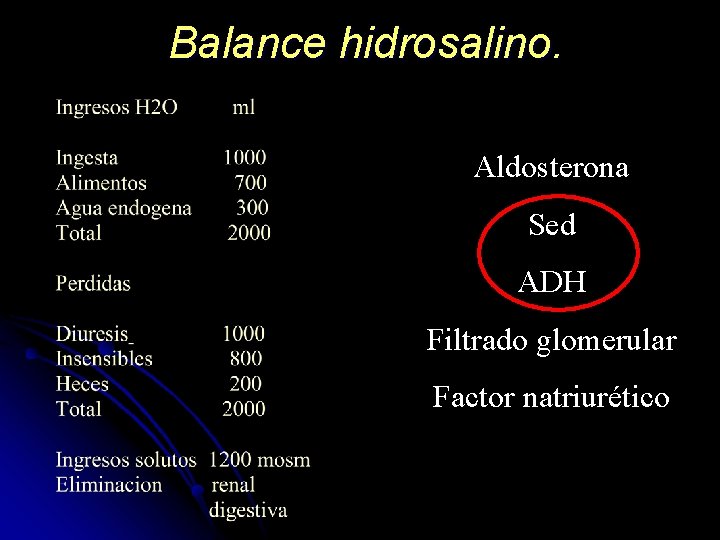 Balance hidrosalino. Aldosterona Sed ADH Filtrado glomerular Factor natriurético 