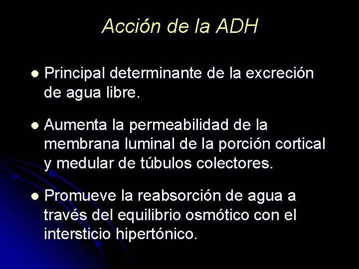 Acción de la ADH l Principal determinante de la excreción de agua libre. l