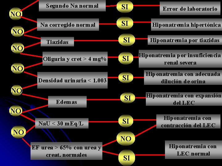 Segundo Na normal NO NO NO Na corregido normal Tiazidas Oliguria y cret >