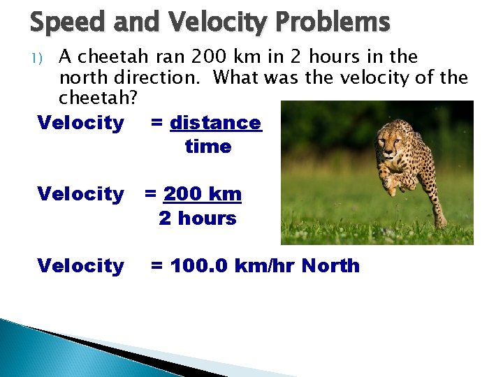 Speed and Velocity Problems A cheetah ran 200 km in 2 hours in the Speed and Velocity Problems A cheetah ran 200 km in 2 hours in the