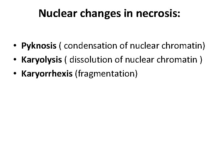 Nuclear changes in necrosis: • Pyknosis ( condensation of nuclear chromatin) • Karyolysis (