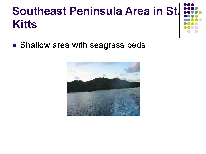 Southeast Peninsula Area in St. Kitts l Shallow area with seagrass beds 
