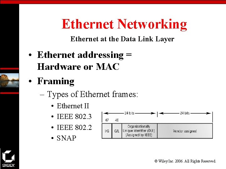 Ethernet Networking Ethernet at the Data Link Layer • Ethernet addressing = Hardware or