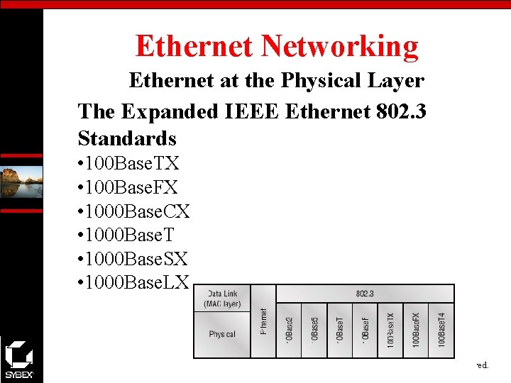 Ethernet Networking Ethernet at the Physical Layer The Expanded IEEE Ethernet 802. 3 Standards