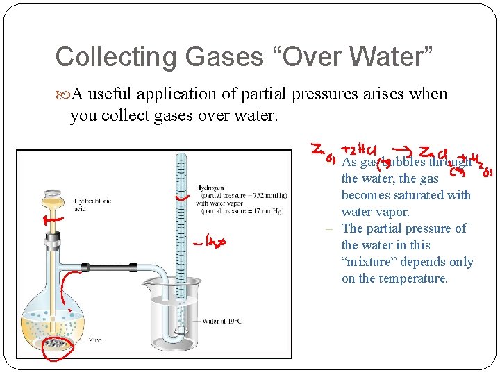 Collecting Gases “Over Water” A useful application of partial pressures arises when you collect