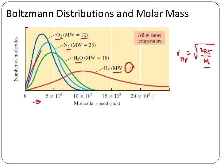 Boltzmann Distributions and Molar Mass 
