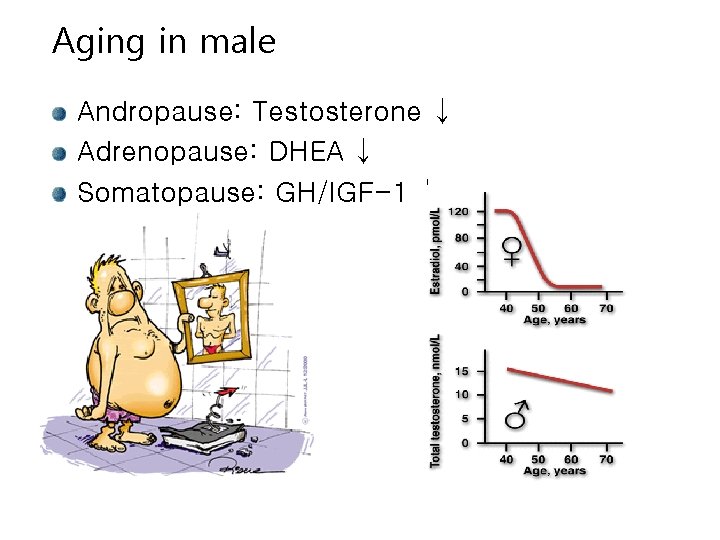 Aging in male Andropause: Testosterone ↓ Adrenopause: DHEA ↓ Somatopause: GH/IGF-1 ↓ 