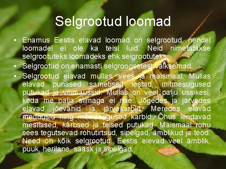 Selgrootud loomad • Enamus Eestis elavad loomad on selgrootud, nendel loomadel ei ole ka